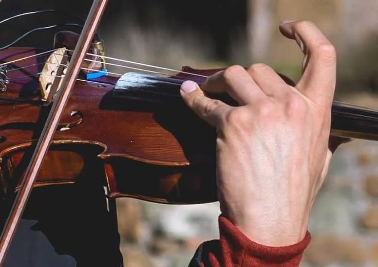 Violin Holding Mastery